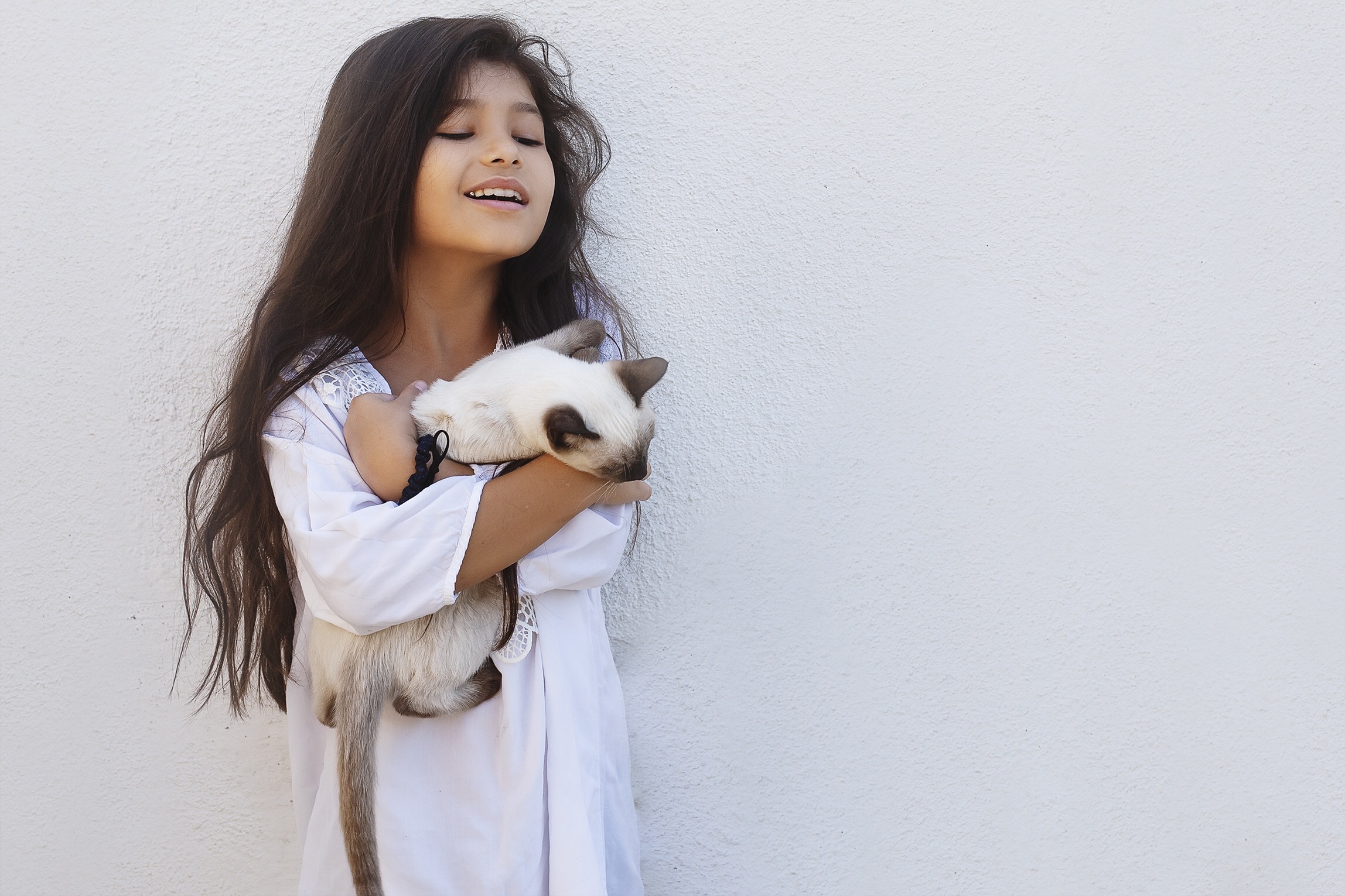 Mèo an toàn cho trẻ